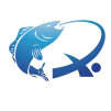 شركة نانتونغ Xuanfei لصيد الأسماك المحدودة